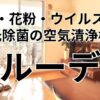 ブルーデオ
